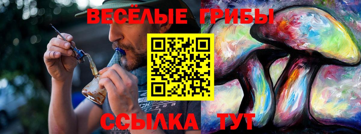 Псилоцибиновые грибы Psilocybine cubensis  Псилоцибиновые грибы Psilocybine cubensis  Балтийск  Вход с VPN 