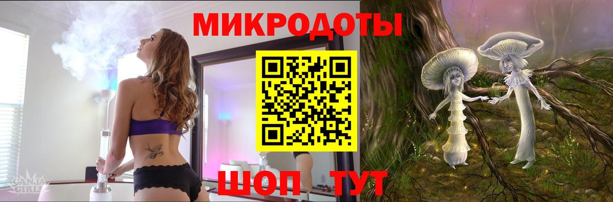Псилоцибиновые грибы мицелий Балтийск